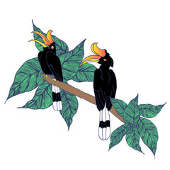 Colorful birds standing on the tree , isolated on white background