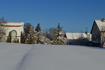 Es ist Winter. Außerhalb der Stadt. Wald