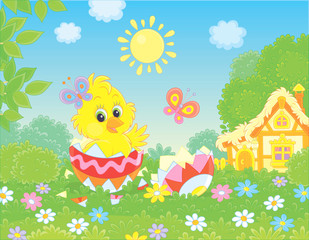 Little yellow Chick peeking out of a decorated Easter egg on green grass among flowers on a lawn near a small hut with thatched roof on a sunny spring day, vector illustration in a cartoon style