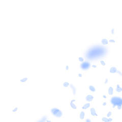 Dark blue flower petals falling down. Bold romanti