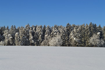 Es ist Winter. Außerhalb der Stadt. Wald