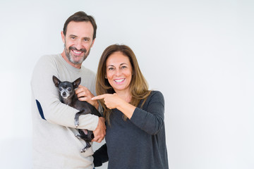 Middle age couple holding small chihuahua over isolated background very happy pointing with hand and finger