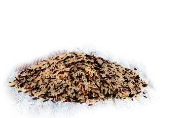 Rice surrounded by white background