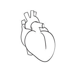 Outline vector heart on white background.