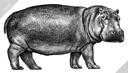 black and white engrave isolated hippo vector illustration