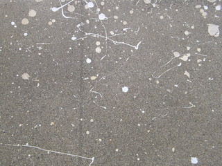 Paint Splattered Cement
