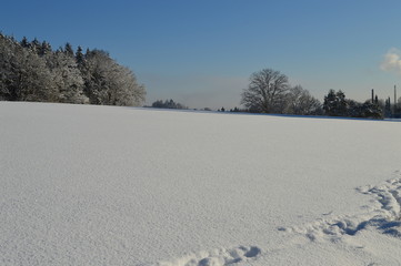 Es ist Winter. Außerhalb der Stadt. Wald