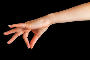 Woman hand showing picking up pose or holding something