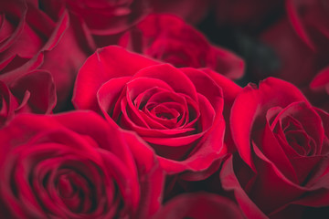 fresh dark red roses close up texture background.Bouquet of roses. Rose. Red Valentines Day, wedding day background. Rose petals and hearts Valentine gift . Valentines and wedding border. Happy