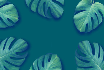 Tropical leaves isolated on a green background. Bright creative concept. Frame for the presentation of works. Top view. Copy space.  Flat lay.