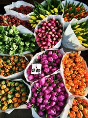 Beautiful colorful flowers in flower shop.