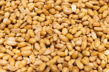 Washed grains of peeled peanuts ready for frying