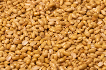 Washed grains of peeled peanuts ready for frying
