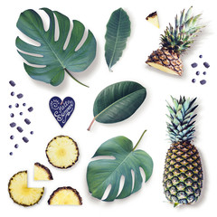 Elements of isolated tropical leaves, pineapple and berries. Top view. Copy space.  Flat lay.