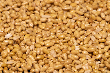 Washed grains of peeled peanuts ready for frying