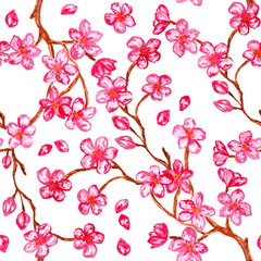 Cherry blossom watercolor painting - seamless pattern with sakura on white background