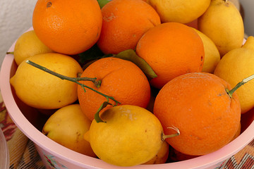 a large container full of citrus, orange and lemon,
