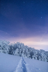 Fototapeta na wymiar There is nothing more beautiful while trekking in the mountains than to admire the night sky above a frozen forest