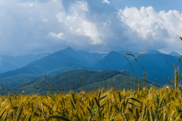 Wonderful Carpathian mountain landscape