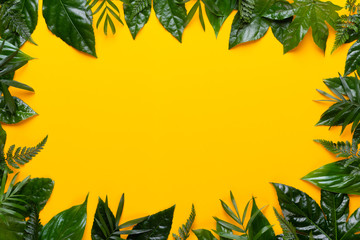  Green plant on the yellow background. Retro vintage style.