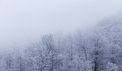 Obraz na płótnie Canvas Frozen landscapes on a cold day of winter in Trascaului Mountains, Romania
