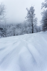 Fototapeta na wymiar Frozen landscapes on a cold day of winter in Trascaului Mountains, Romania