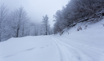 Fototapeta na wymiar Frozen landscapes on a cold day of winter in Trascaului Mountains, Romania
