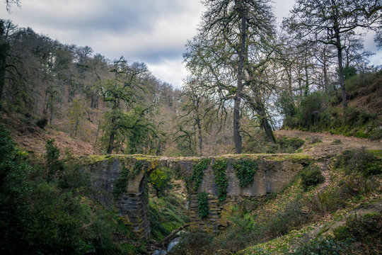 river in the forest