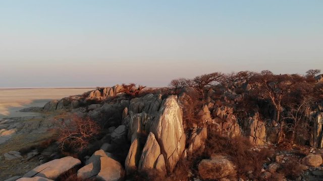 Kubu Island - Baobab trees growing in an arid desert landscape of Makgadikgadi Pans area in Central Botswana, Aerial drone shot 