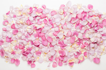Pink rose flowers petals on white background. Flat lay, top view, copy space.