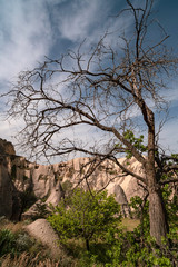 Houses in the sandy mountains. Cappadocia, Turkey, Asia. Beauty of nature concept background