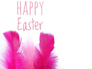 Happy Easter card template with pink feathers