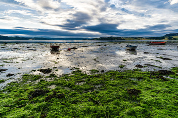 Fishing boats are held by a rope in the morning