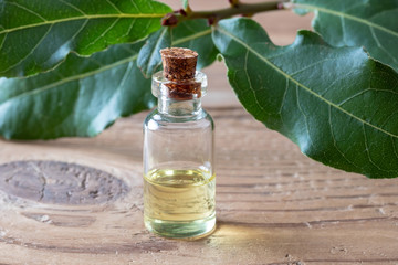 A bottle of bay leaf essential oil with fresh bay leaves