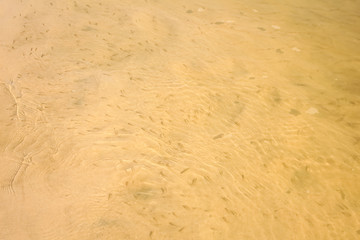 Sandy bottom of the river.  Background, texture