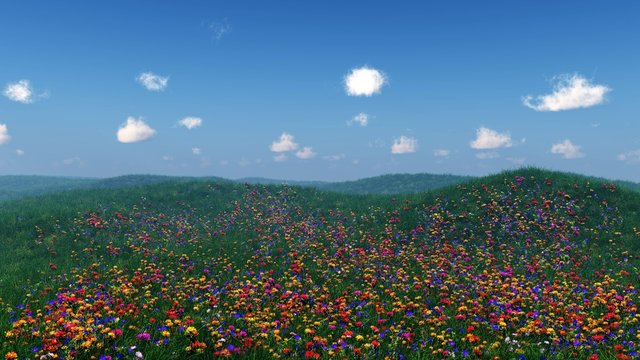 flower hills, spring landscape of flowers, flower meadow on the hillside © ustas