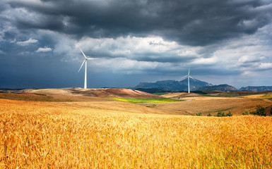 Windmill on the field