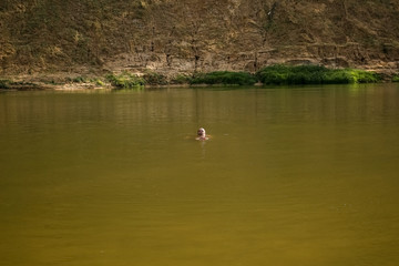 A man swims in a green river
