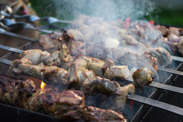 barbecue on coals juicy powerfully.