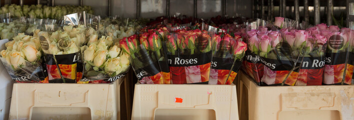 Roses ready to be sold for Valentine's Day