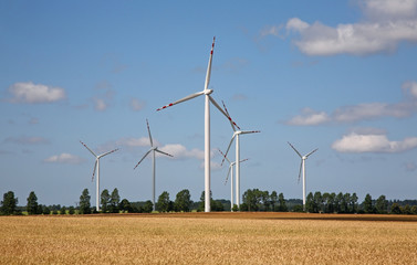 Wind turbine near Chojna. Poland