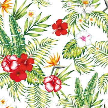 Seamless realistic vector botanical pattern white background