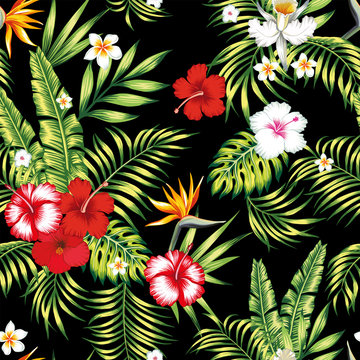 Seamless realistic vector botanical pattern black background