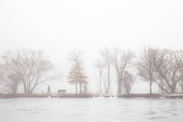 Fototapeta na wymiar Walking Dog in Foggy Winter Morning Lake in North America