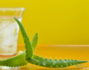 Naklejka premium aloe on yellow background