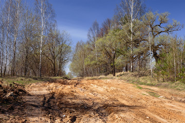 Countryscape. Bad road in a Russian villages.
