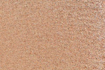 plain background, sand and shell texture, sandy beach