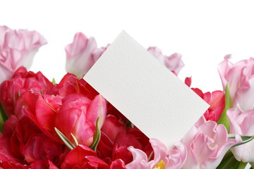 Greeting card for a festive bouquet of pink and red tulips isolated on white background.