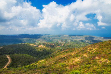 Panoramic view of Haifa green hills in a sunny summer day. Viewed from Haifa University. Haifa, Northern Israel