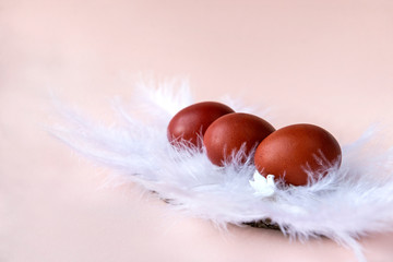 3 brown Easter eggs on white feathers, side view, dove